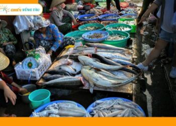 kinh nghiệm mua hải sản ở vũng tàu
