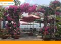 cafe hải đăng xưa