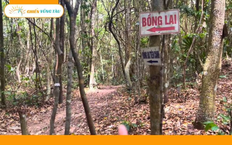 chùa bồng lai tiên cảnh vũng tàu