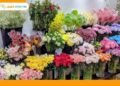 shop hoa tươi vũng tàu