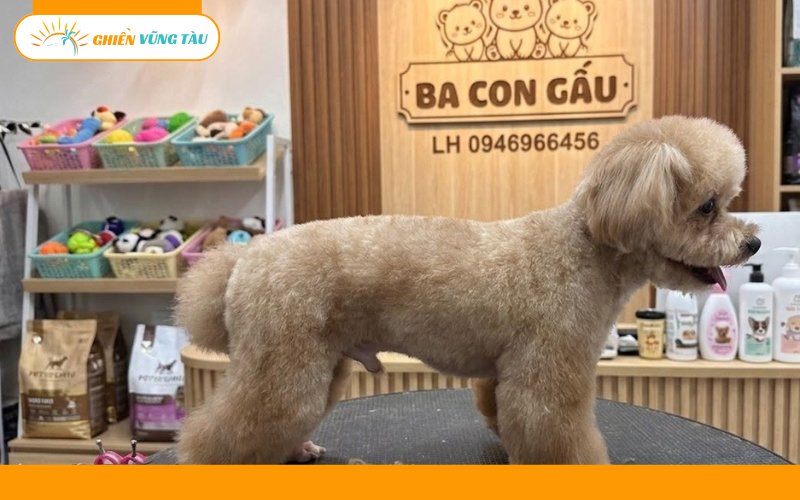 Top 7 spa thú cưng Vũng Tàu uy tín, chuyên nghiệp và tận tâm 11 spa thú cưng vũng tàu