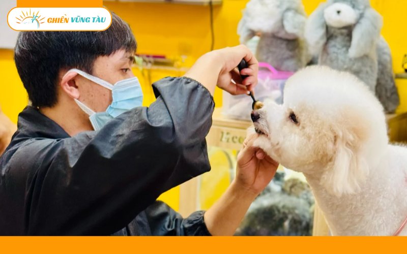 Top 7 spa thú cưng Vũng Tàu uy tín, chuyên nghiệp và tận tâm 13 spa thú cưng vũng tàu