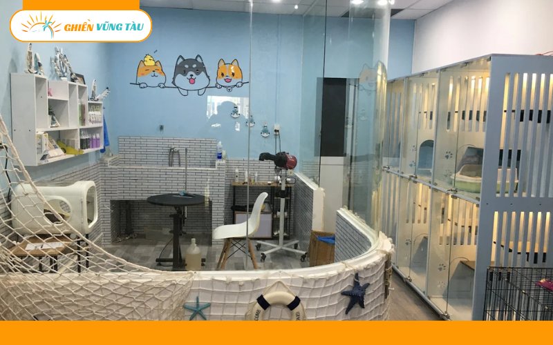 Top 7 spa thú cưng Vũng Tàu uy tín, chuyên nghiệp và tận tâm 14 spa thú cưng vũng tàu