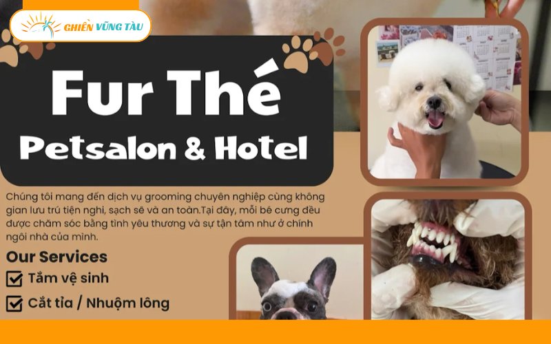 Top 7 spa thú cưng Vũng Tàu uy tín, chuyên nghiệp và tận tâm 15 spa thú cưng vũng tàu