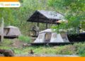 suối camp