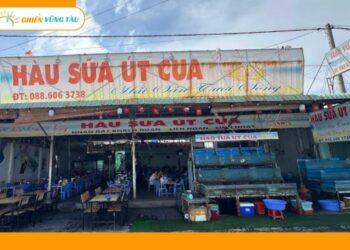 hàu sữa út cua