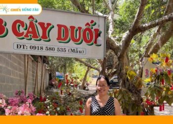quán 3 cây duối